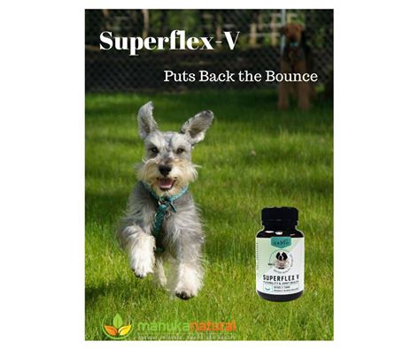 Advanced Arthritis formula for Dogs — Manuka Natural