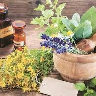 Integrating Traditional Natural Therapies into Modern Medicine