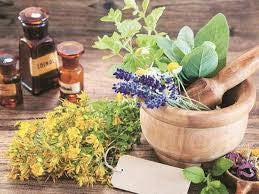 Integrating Traditional Natural Therapies into Modern Medicine