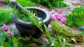 The Role of Medicinal Plants in Herbal Medicine for Stress Relief